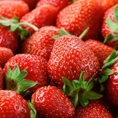 Close-up of ripe strawberries with green leaves attached