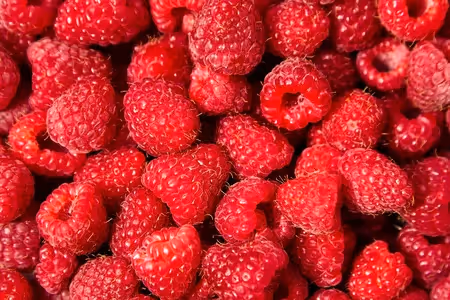 Close-up of fresh red raspberries piled together