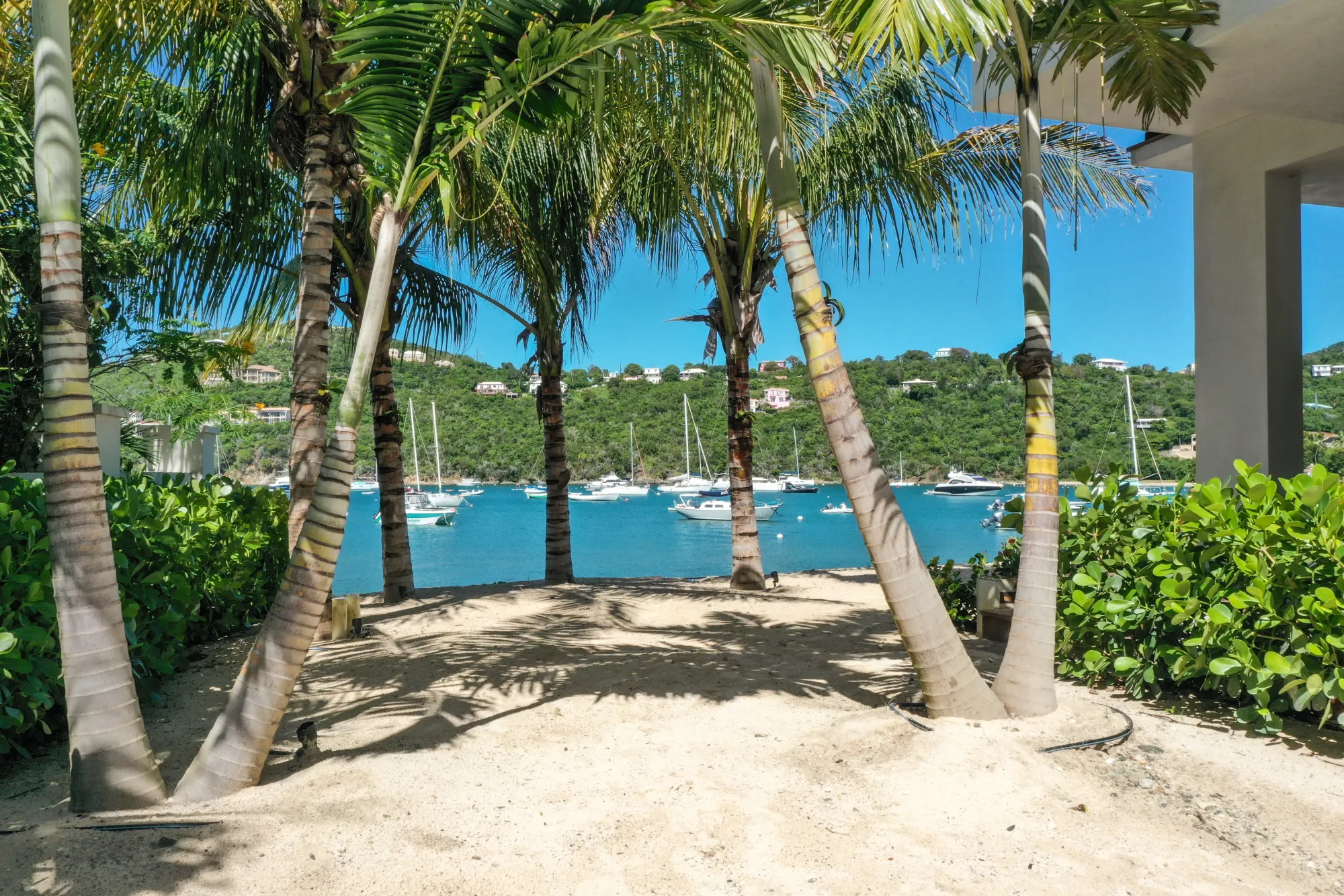 Sandy beach area with palm trees overlooking a bay filled with anchored sailboats under a clear blue sky.