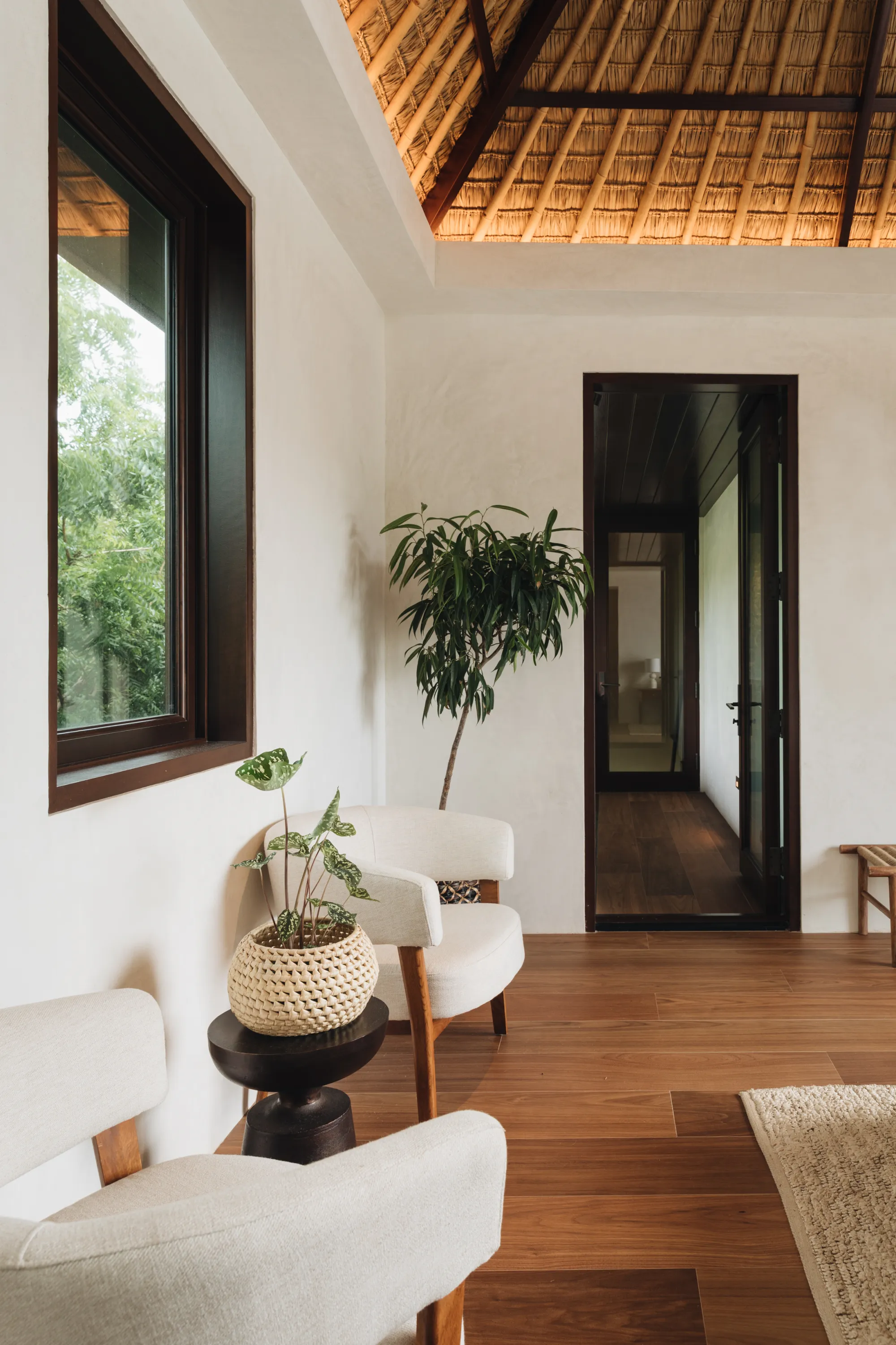 coastal cultural expedition on an artist's balcony