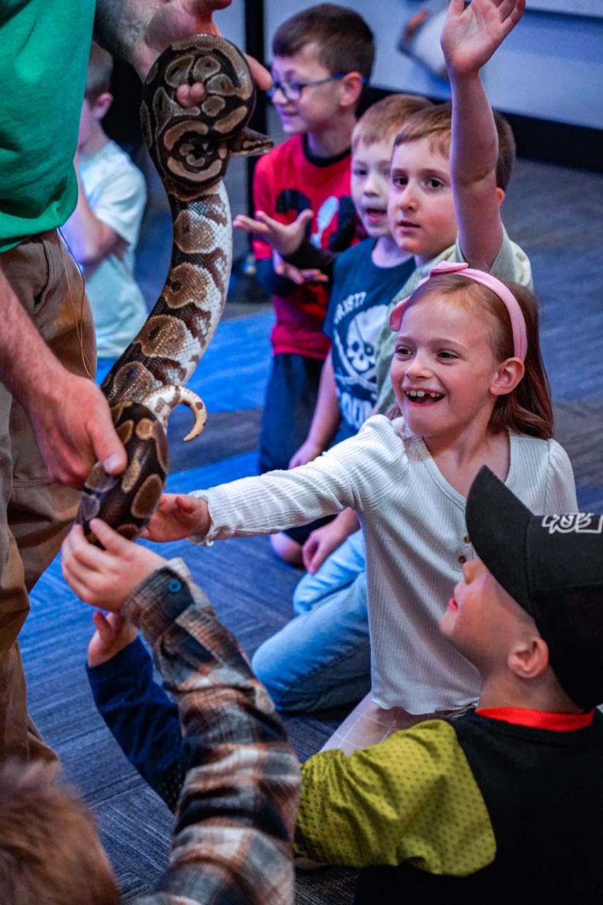 A group of children excitedly reaching out to touch a large snake held by a professional.