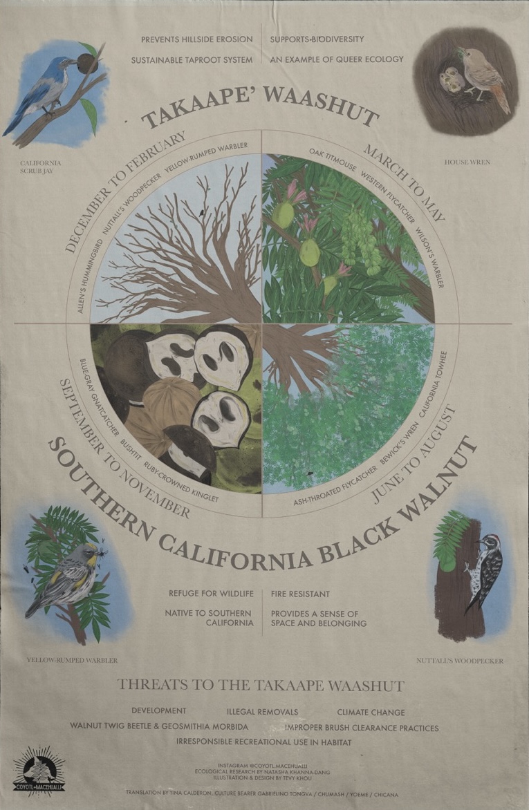 Design & Art Direction