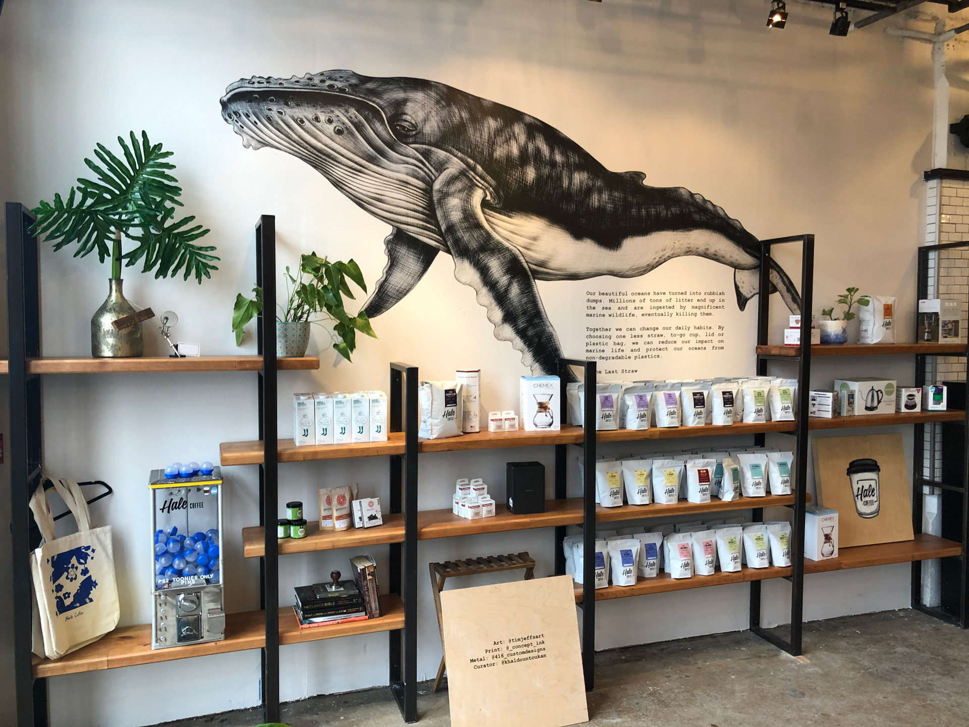 Store shelves displaying coffee products and plants against a wall with a large black and white whale mural and a message about ocean pollution.