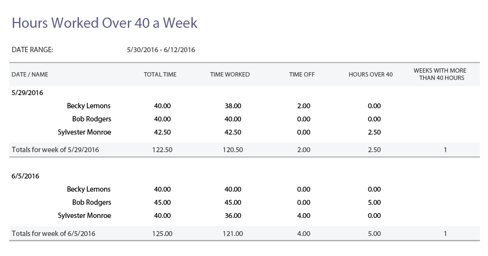 nonprofit timesheet template