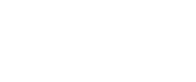 Logo NPI DigiKoalice