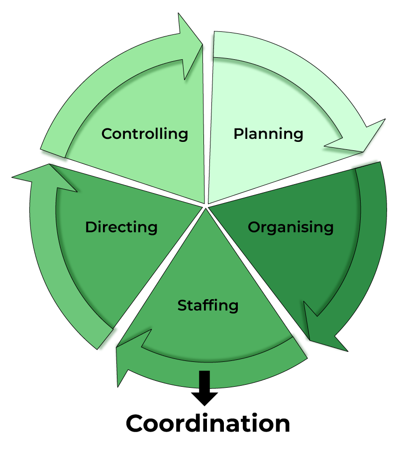 Developer Coordination & Management