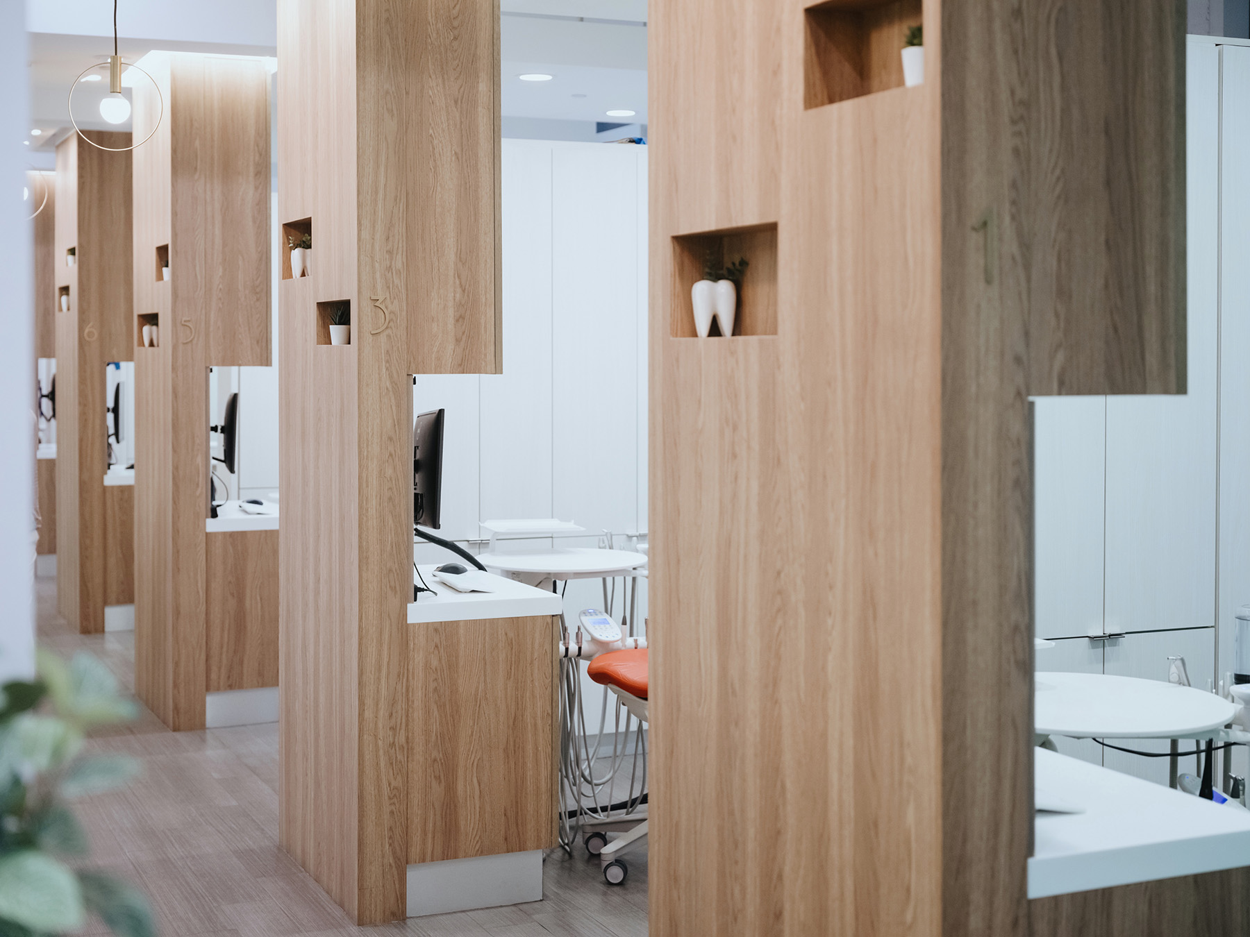 Modern dental clinic with numbered wooden partitions, dental chairs, and white counters.