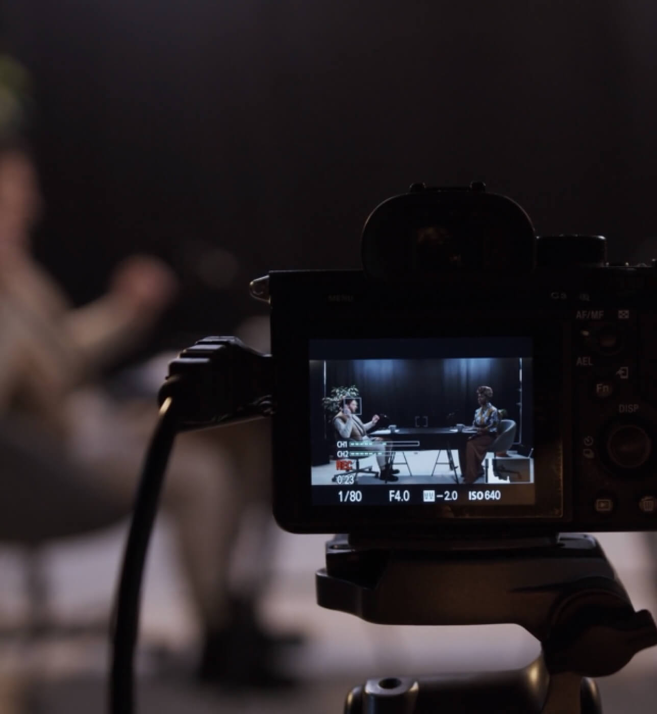 Documentary filmmaking