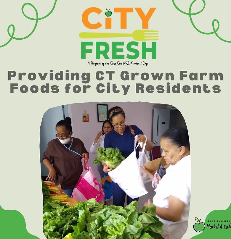 City Fresh Content Creation 2