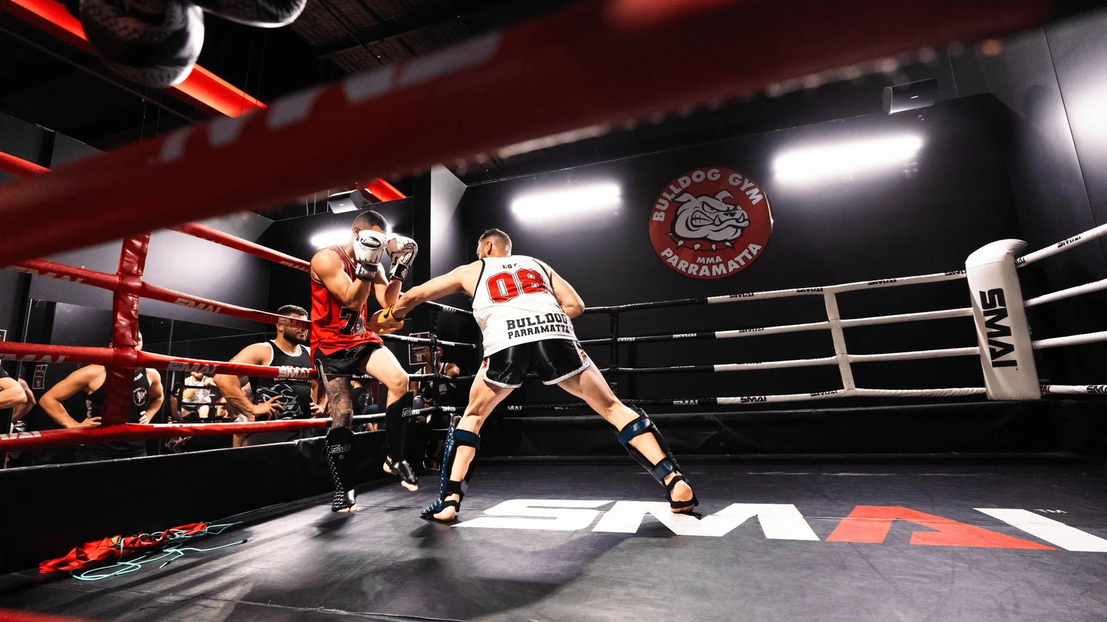 Two fighters sparring in the ring at Bulldog Gym Parramatta