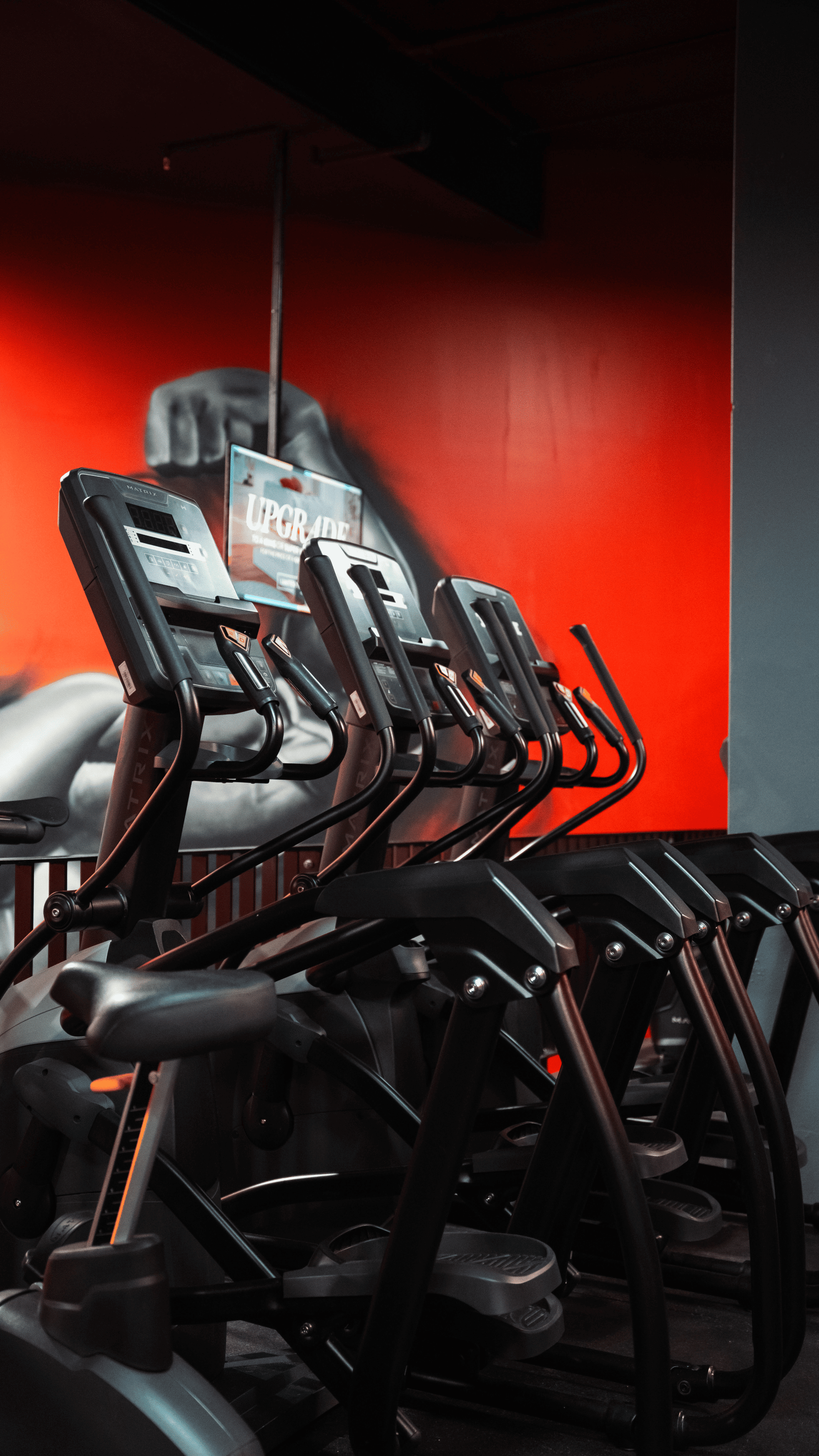 World Gym Australia