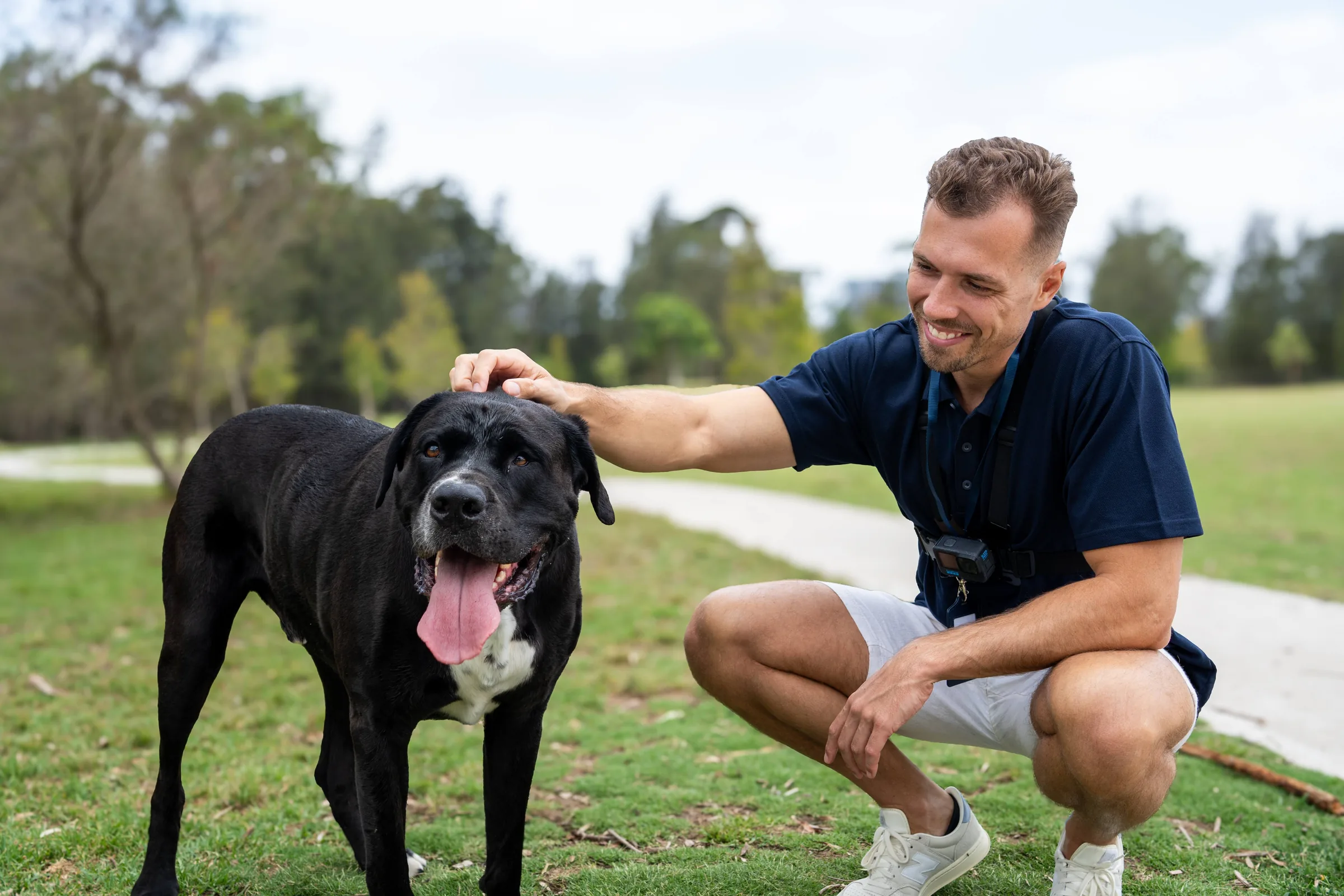 Sweet Pet Home Care
