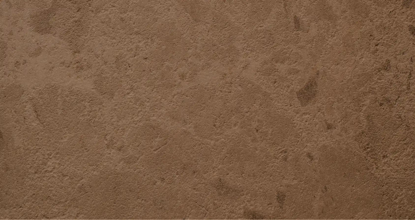 Close-up view of a rough, textured stone surface with dark speckles and natural patterns.