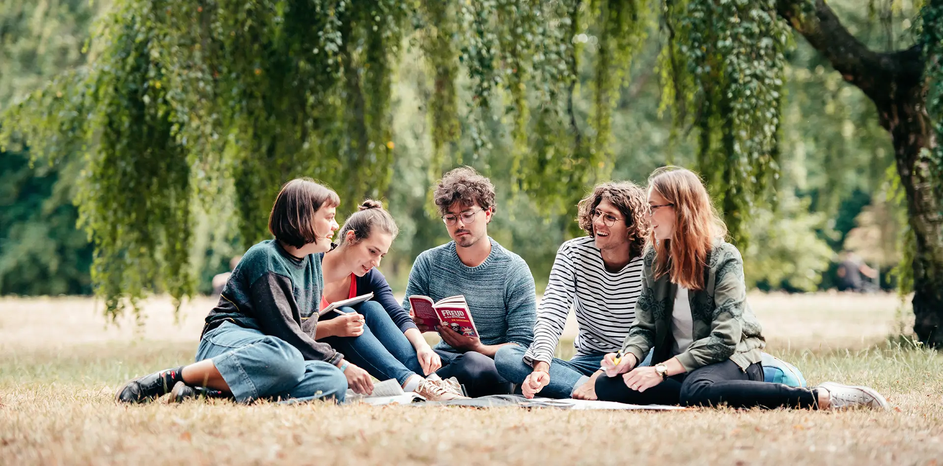 Fünf Studierende sitzen im Gras unter einem Baum und diskutieren gemeinsam.
