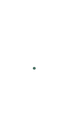 Vertical timeline with years 2015, 2017, 2018, and 2021 marked by dots on a vertical line with horizontal lines extending to text areas.