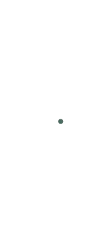 Vertical timeline graphic with labeled milestones at 2017, Q1 2018, Q4 2019, and 2020 with a marker on Q1 2018.