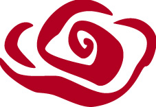 Ein ROSE College Sprachlkurs im Büro einer Firma