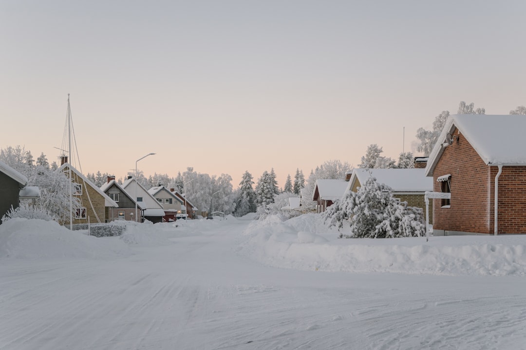 How Does Heat Pump Defrost Mode Work in Northern Colorado Cold Snaps