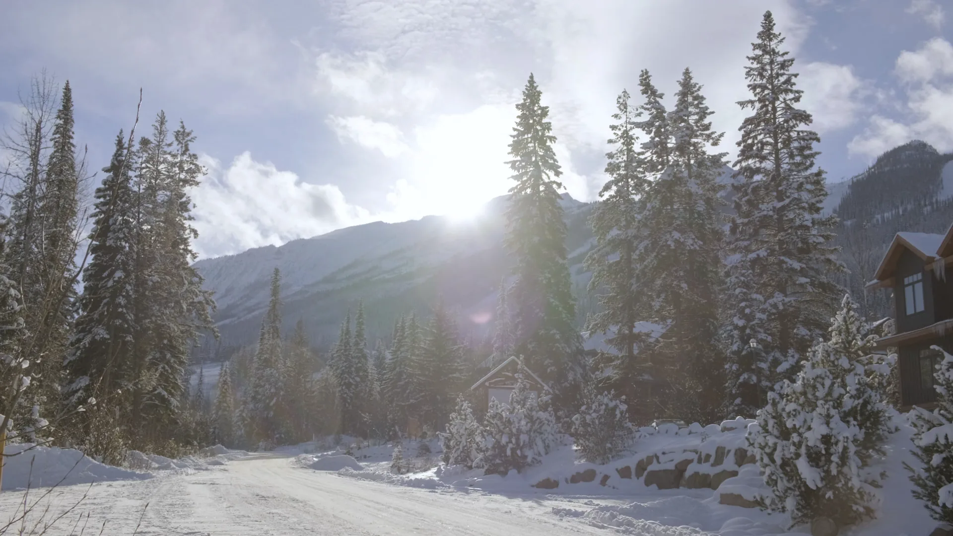 Snow-covered arrival road beside Copper Horse Lodge