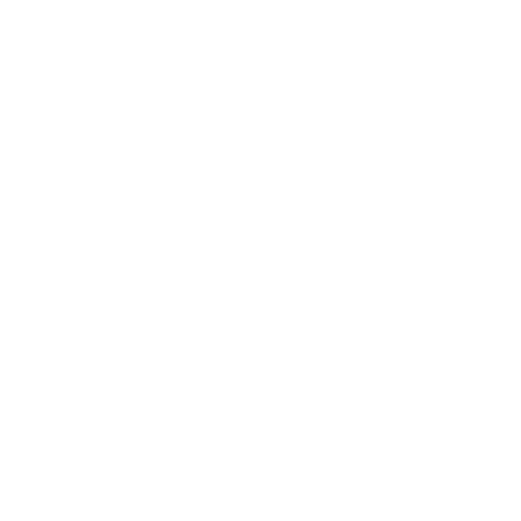 Outline of a house with an electrical plug integrated into the design, symbolising home electrical services.