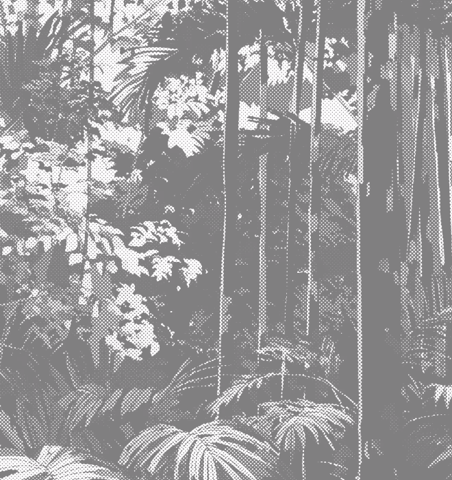 Jungle background showing environmental impact