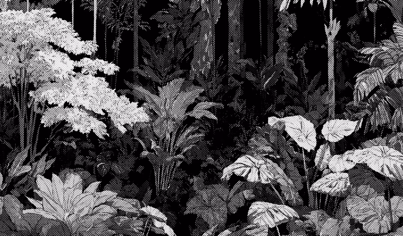 Jungle background showing environmental impact