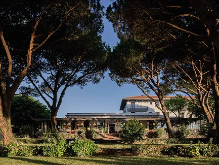 Maison moderne encadrée par de grands arbres avec un jardin verdoyant au premier plan sous un ciel bleu clair.