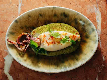 Plato ovalado con calamares rellenos cubiertos con cilantro fresco y polvo rojo, colocado sobre una cama verde.