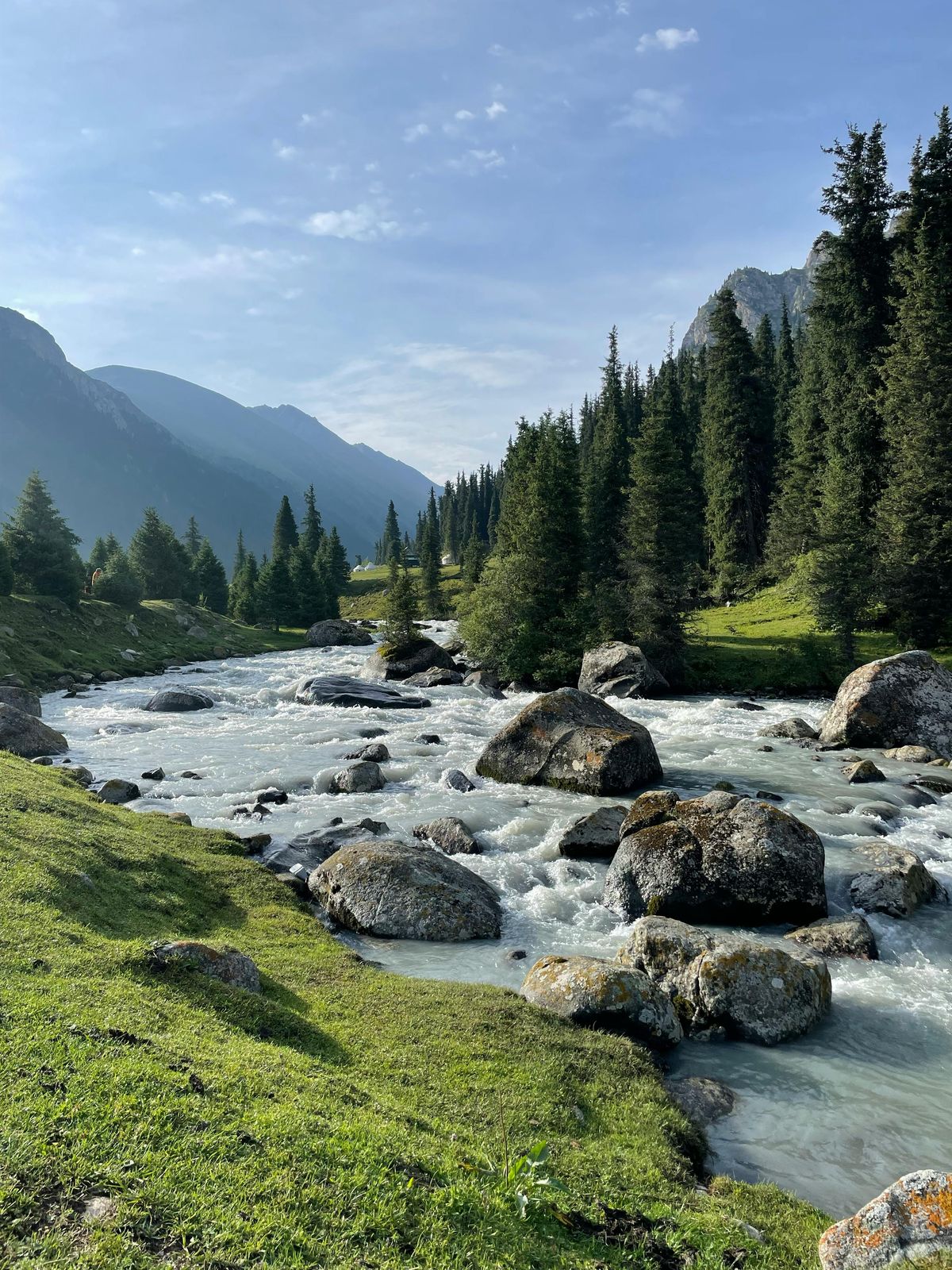 Wilder Gebirgsbach mit Felsen und Tannen im kirgisischen Hochland