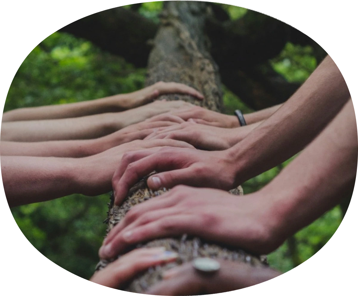 Many hands on a tree branch.