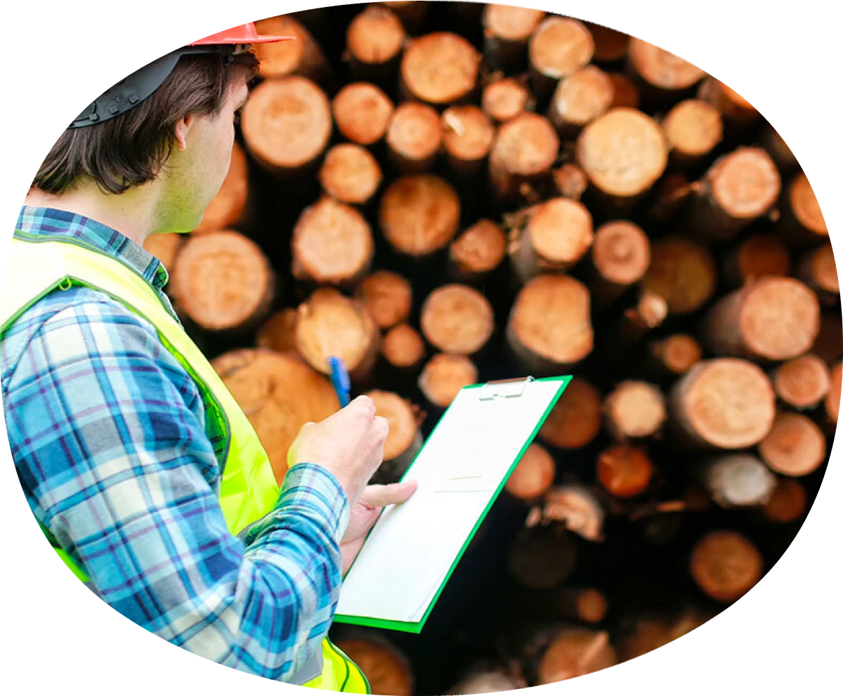 Man reviewing a pile of logs.