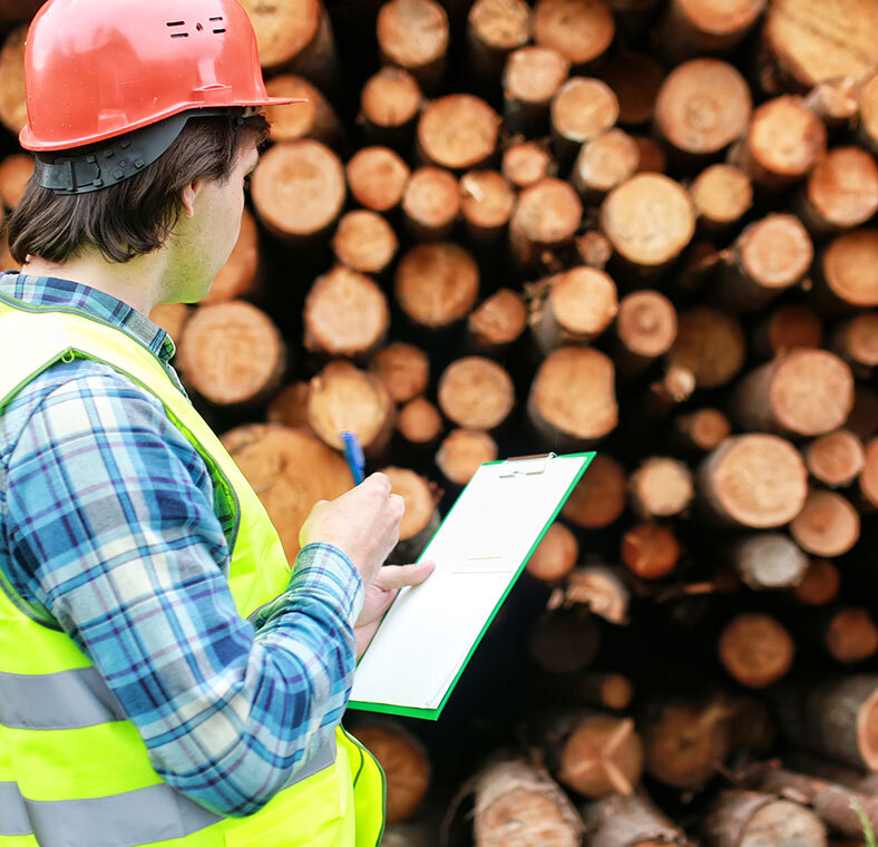 Timber Inspection_Interu: Traceability Solutions