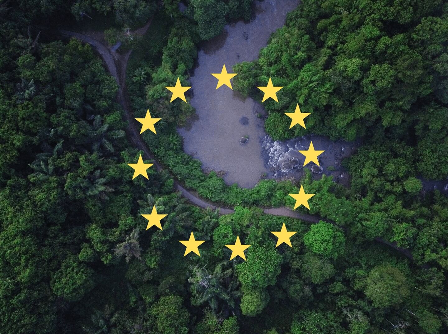 Guide_to_EUDR_Compliance