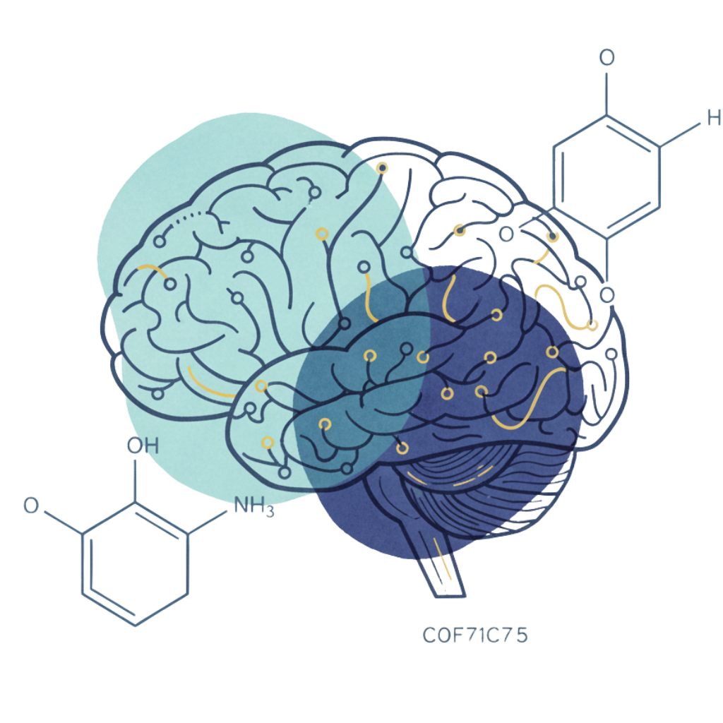 Abstract illustration of a human brain with overlapping blue and teal shaded areas and chemical structures around it.