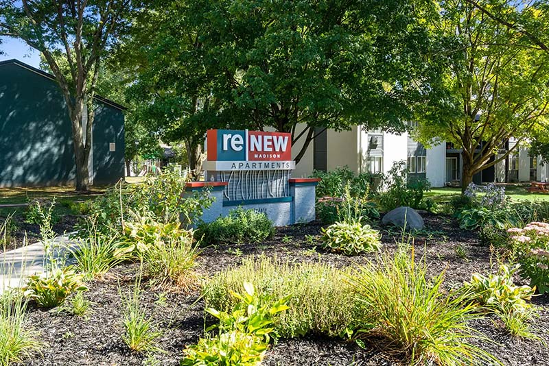 ReNew Madison