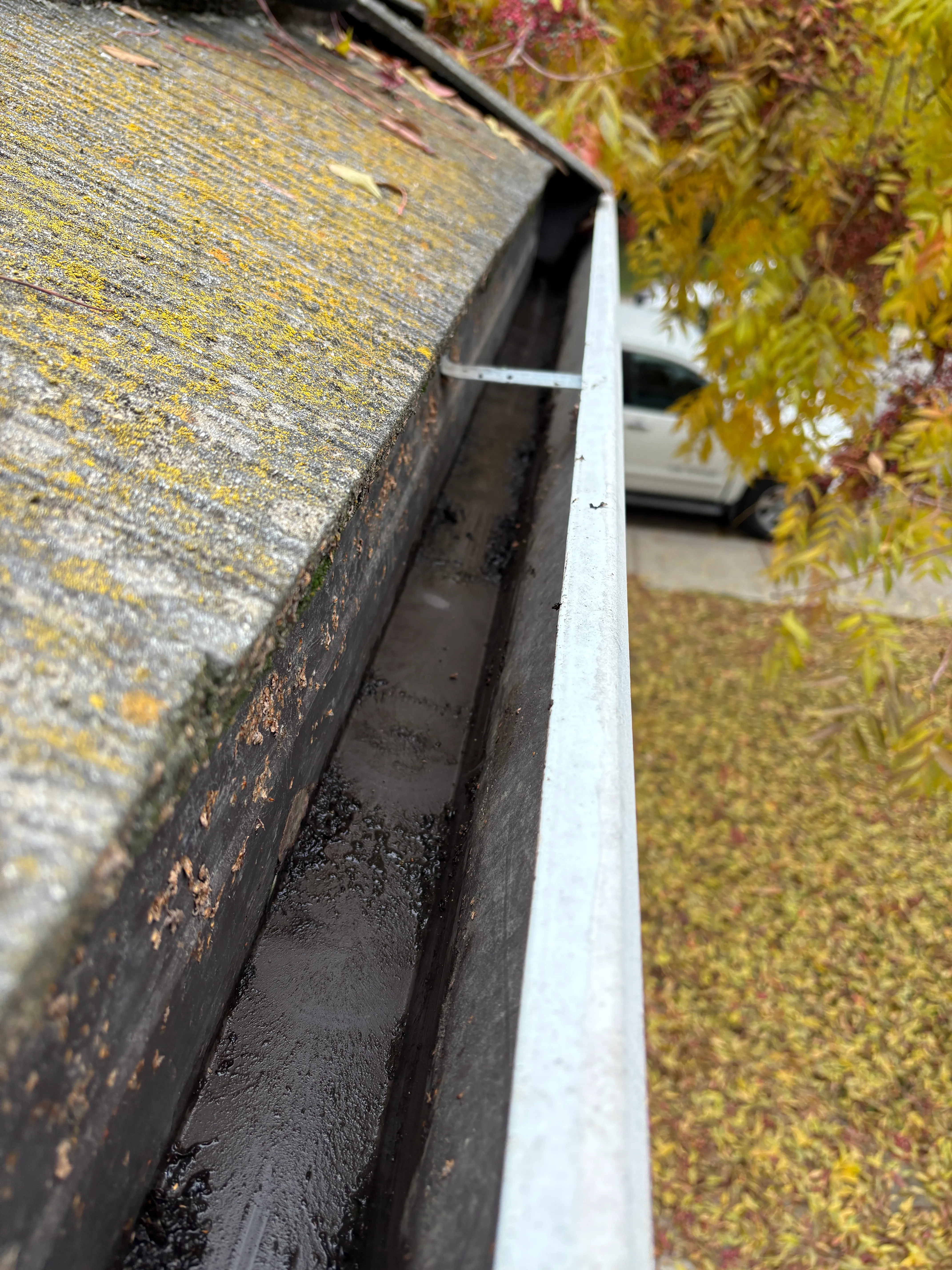 Close-up of a wet, partially clean roof gutter with some moss and fallen leaves nearby.
