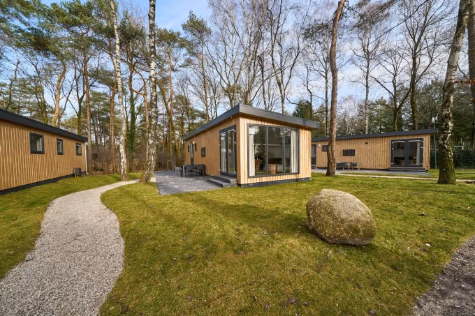 Modern wooden cabins with large windows in a wooded area with a gravel path and grassy ground.