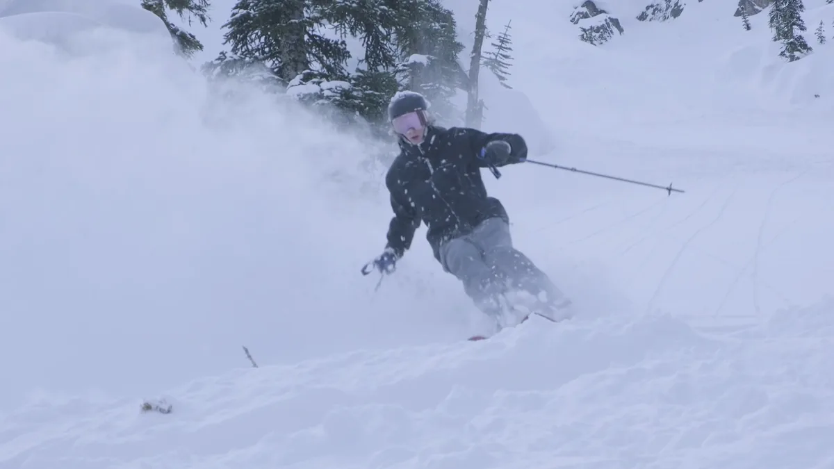 Skier turning through powder among snow-covered trees