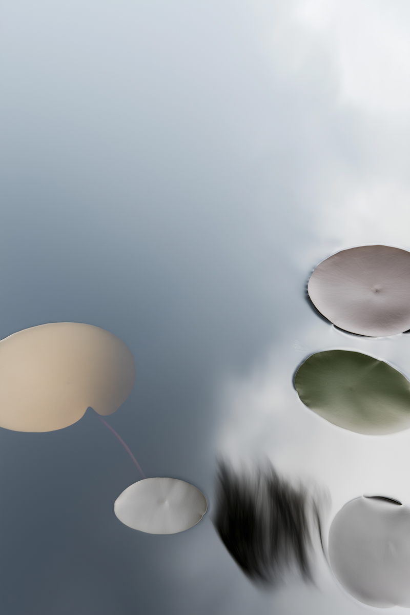 Template Image - Promora Webflow Template