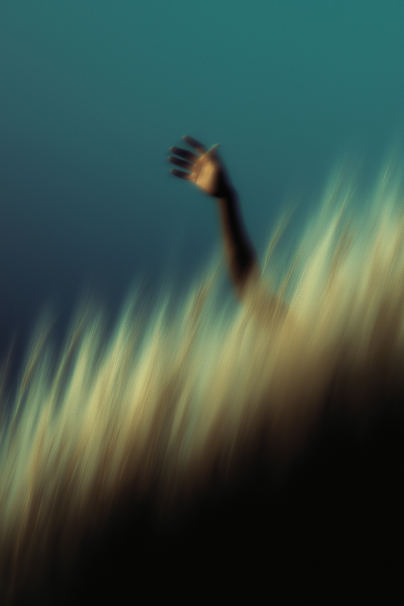 Template Image - Promora Webflow Template