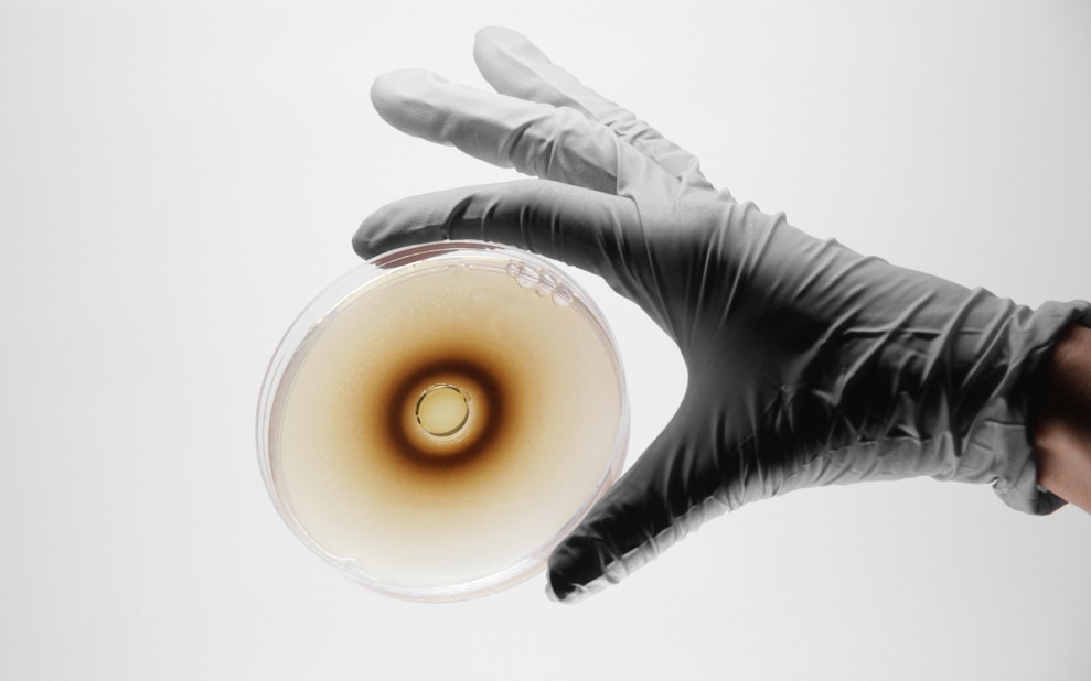 Hybrid Living Materials