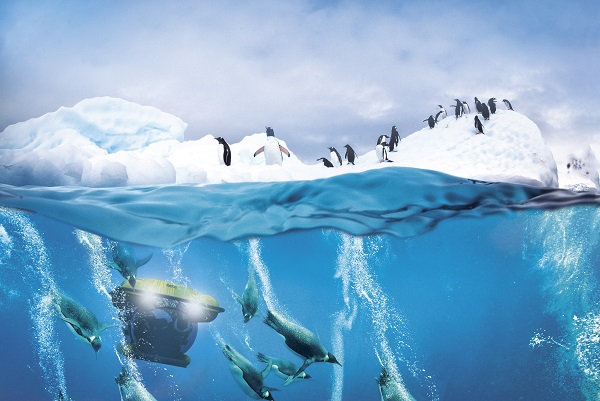 Scenic Submarine