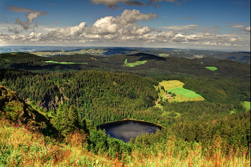 Black Forest National Park