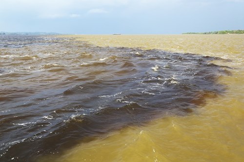 Amazon and Rio Negro Meeting