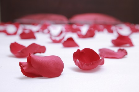 Petals on the bed