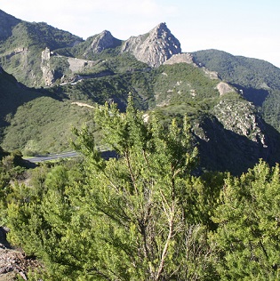 Hiking on La Gomera