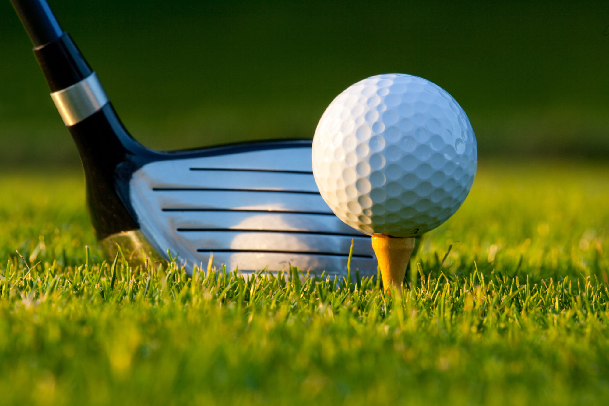 Escape To The Greens