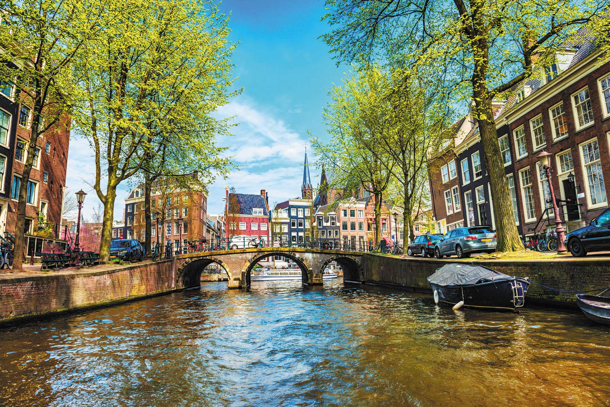 Fred.'s top tips for city trips