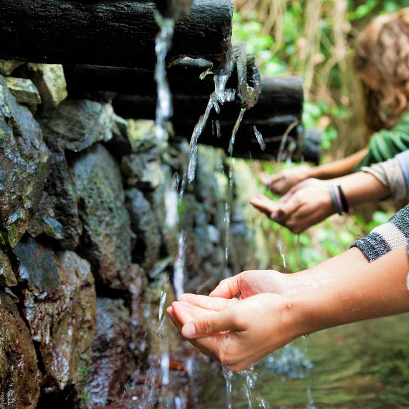 Our Commitment to the Environment
