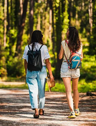 Vue de dos de deux femmes portant des sacs à dos et marchant sur un sentier forestier ensoleillé, entourées de grands arbres